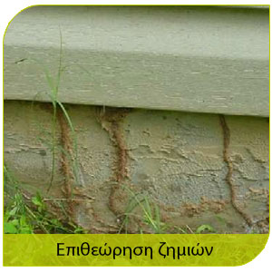 καταπολεμηση τερμίτων και επιθεώρηση ζημιών 